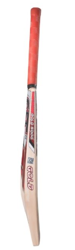 CA Gold 5000 English Willow Cricket Bat (SH) - Image 2
